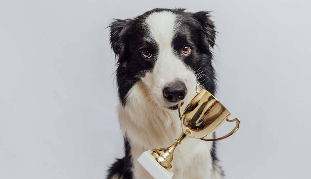 Pick of the Week 10th September HART